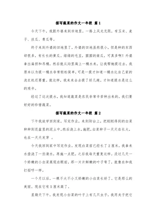 有趣的蔬菜作文一年级