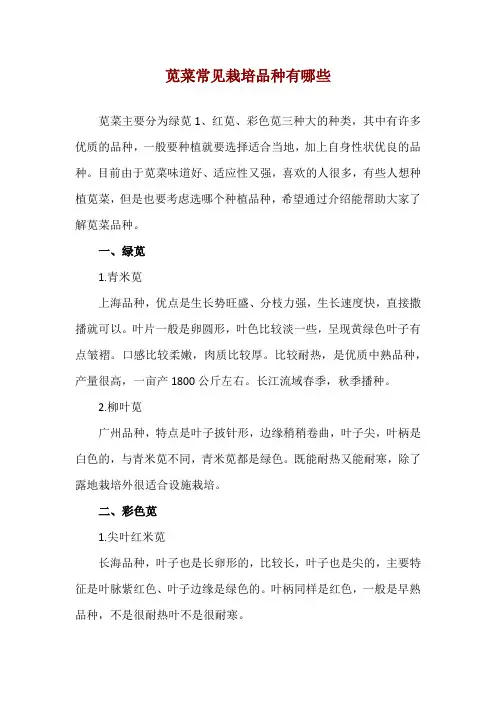 苋菜常见栽培品种有哪些