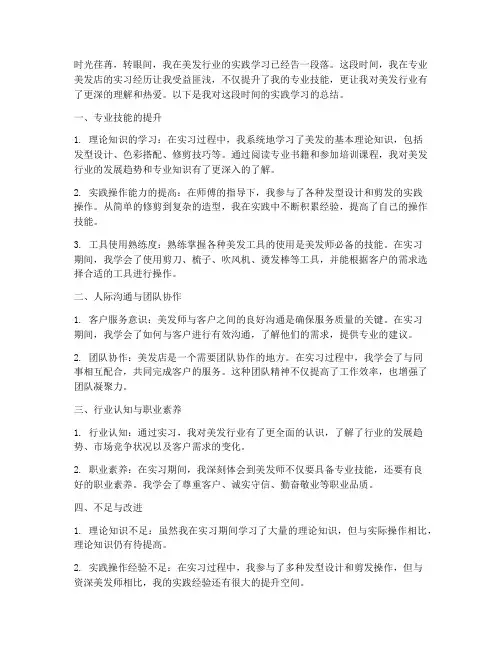 美发实践个人总结范文