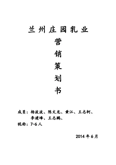 营销策划期末作业