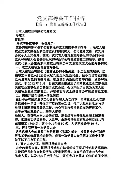 党支部筹备工作报告