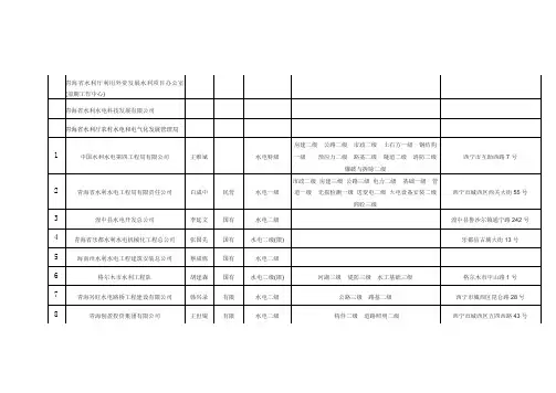 青海主项水利企业一览表