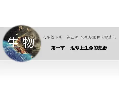 人教版八年级生物下册7. 地球上生命的起源 课件