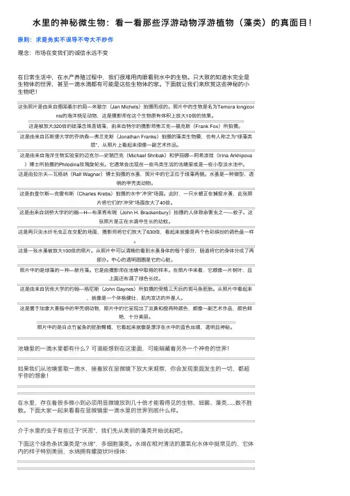 水里的神秘微生物：看一看那些浮游动物浮游植物（藻类）的真面目！