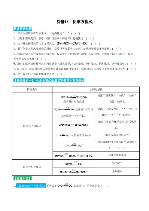 易错16化学方程式-九年级化学上册易混易错微考点(人教版)