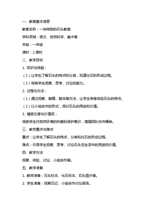 一块特别的石头教案
