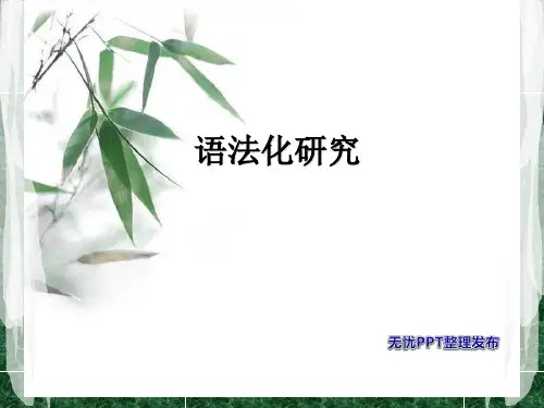现代汉语语法专题 语法化研究