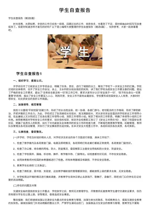学生自查报告