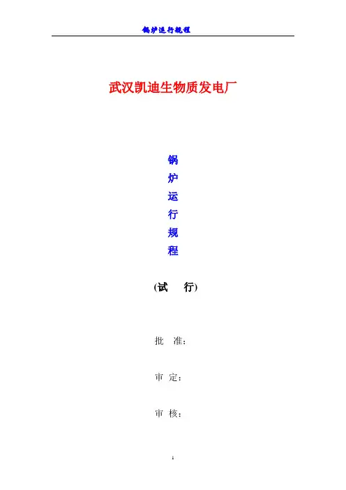 武汉凯迪生物质发电厂锅炉运行规程