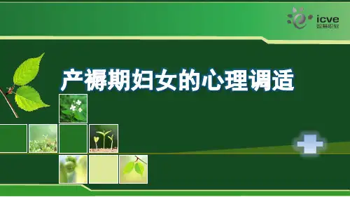 产褥期妇女的心理调适(精)