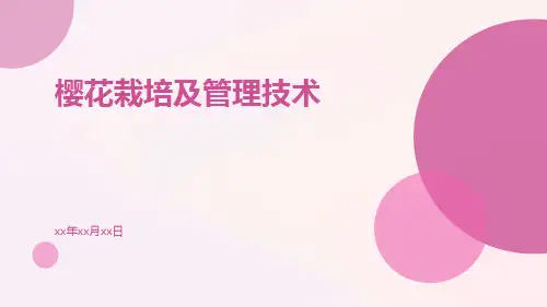 樱花栽培及管理技术