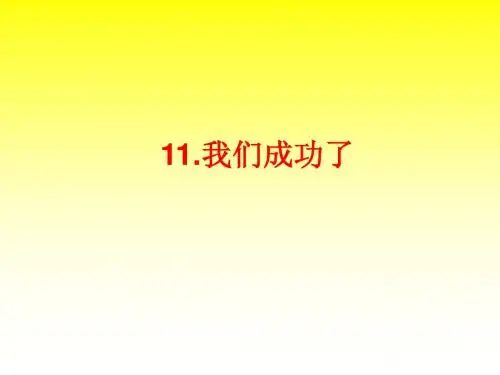 我们成功了2