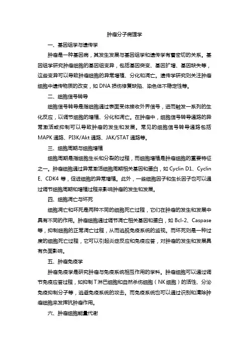 肿瘤分子病理学