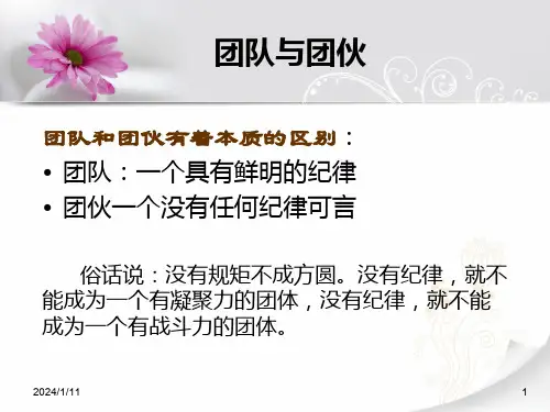 团队精神培训课件PPT63页