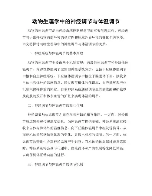 动物生理学中的神经调节与体温调节