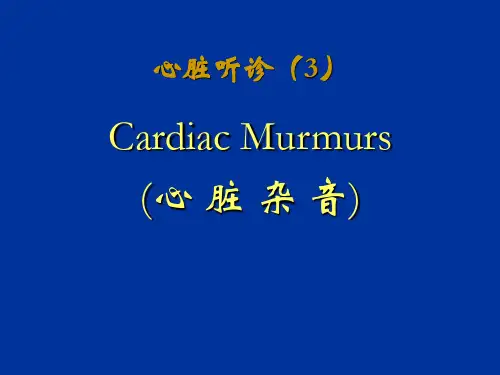 心脏听诊-杂音