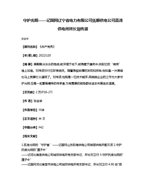 守护光明——记国网辽宁省电力有限公司抚顺供电公司高湾供电所所长刘传波
