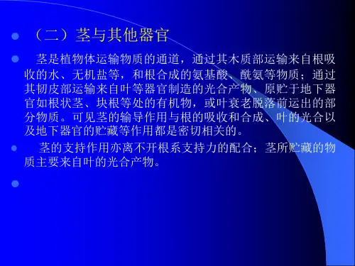 营养器官间的联系