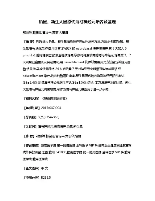 胎鼠、新生大鼠原代海马神经元培养及鉴定