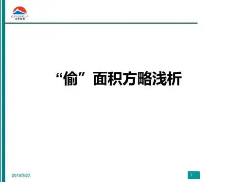 2019年-偷面积实用案例分析-PPT精选文档