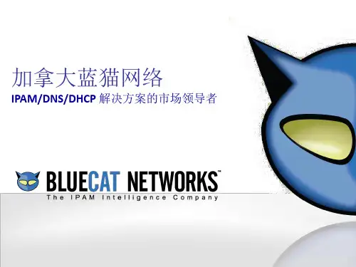 Bluecat产品介绍