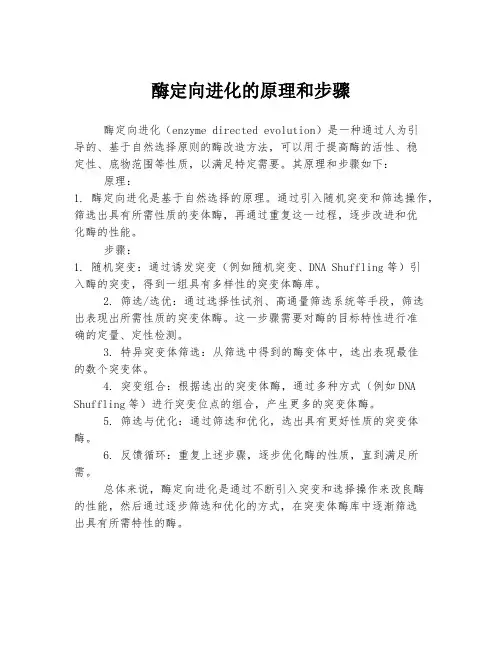 酶定向进化的原理和步骤