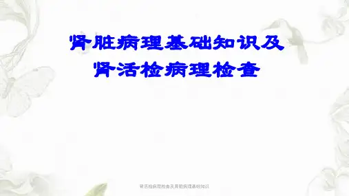 肾活检病理检查及肾脏病理基础知识PPT课件