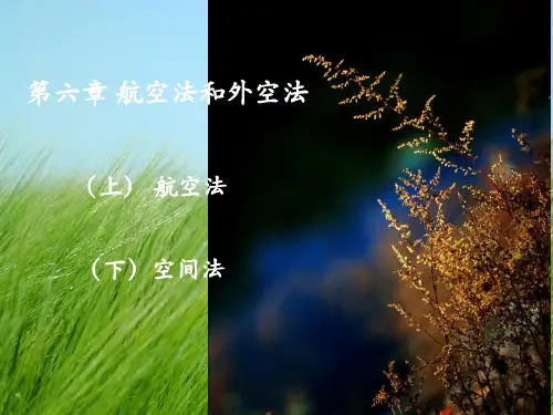 新编国际法学第六章 航空法和空间法PPT