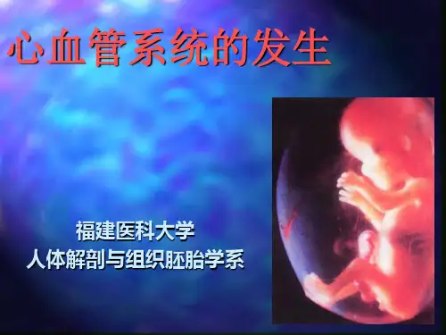 组织学与胚胎学 第25章 心血管系统发生
