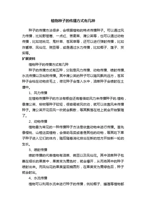 植物种子的传播方式有几种