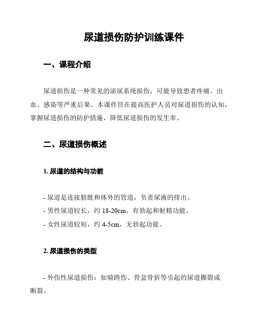 尿道损伤防护训练课件