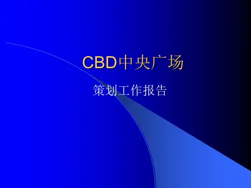 合肥CBD中央广场策划工作报告