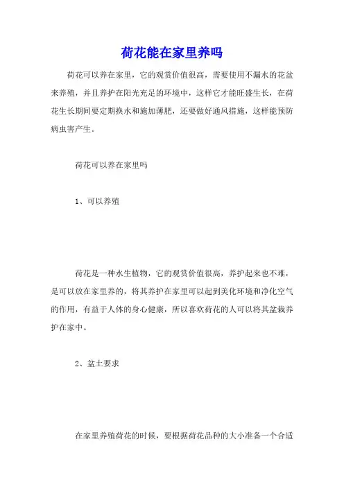 荷花能在家里养吗