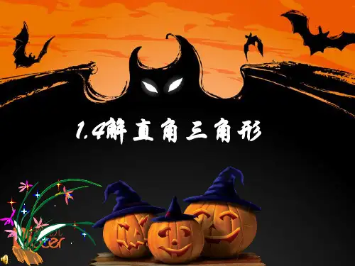 1.4解直角三角形课件北师大版数学九年级下册2【04】