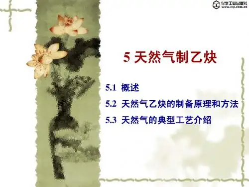 第05章 天然气制乙炔