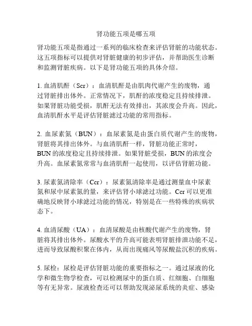 肾功能五项是哪五项