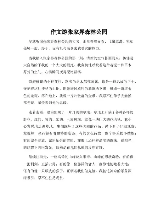 作文游张家界森林公园