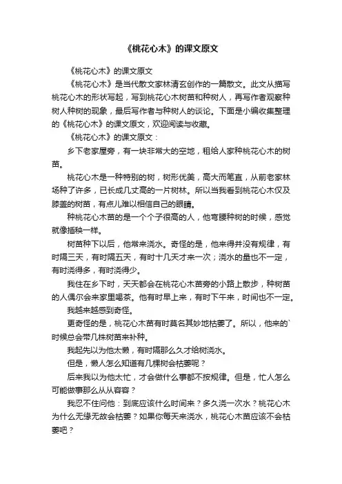 《桃花心木》的课文原文