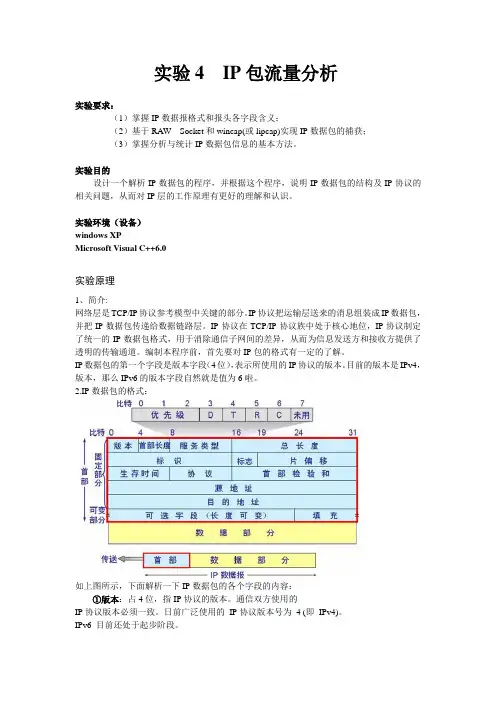 IP包流量分析