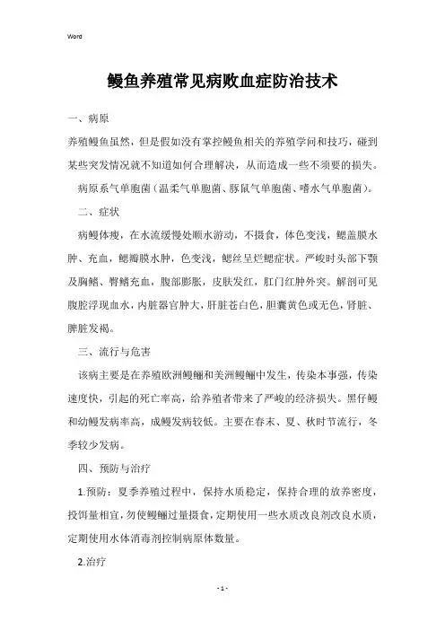 鳗鱼养殖常见病败血症防治技术