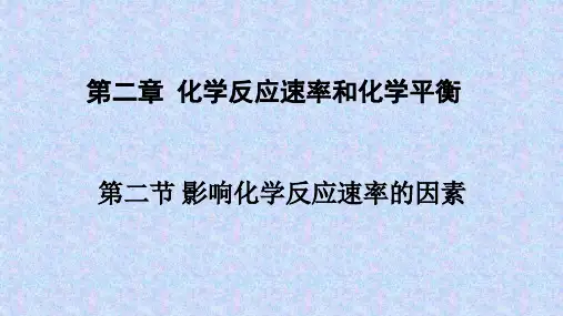 人教版高二化学选修4第二章第二节 影响化学反应速率的因素