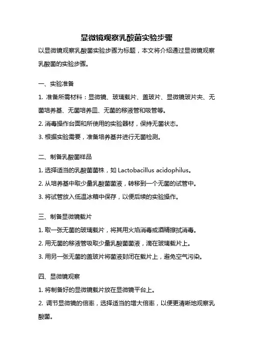 显微镜观察乳酸菌实验步骤