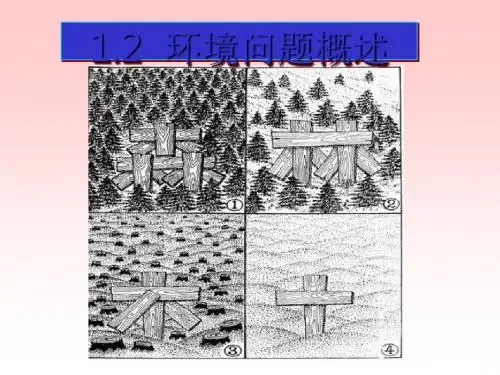 环境问题概述 PPT课件 1 湘教版