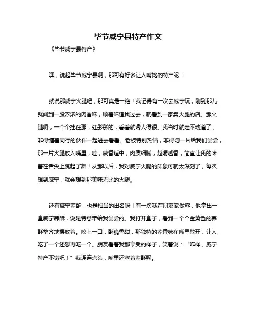 毕节威宁县特产作文
