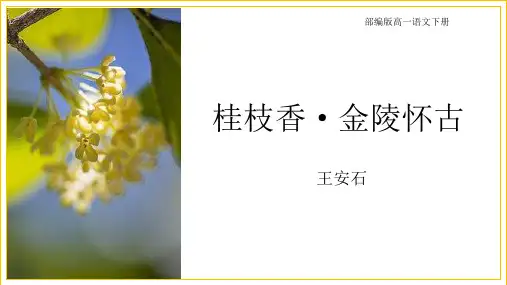 《桂枝香-金陵怀古》PPT教学课件