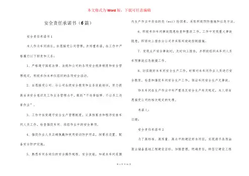 安全责任承诺书(6篇)