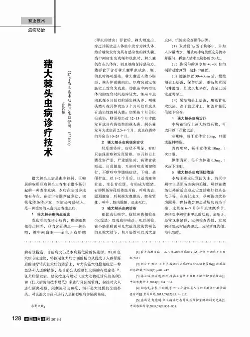 猪大棘头虫病诊疗技术