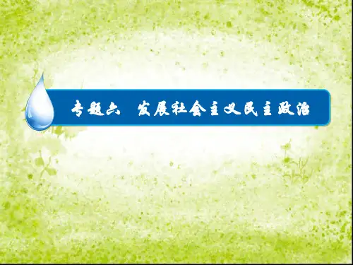高三政治复习课件(政治生活)：专题6 发展社会主义民主政治 (共37张PPT)
