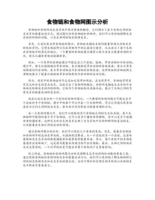 食物链和食物网图示分析