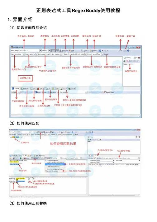 正则表达式工具RegexBuddy使用教程